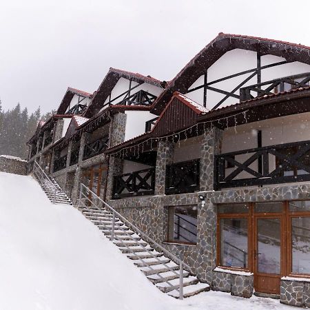 Brand New 2020 Specious Apartment Druzi 2 Palyanytsya Exterior photo