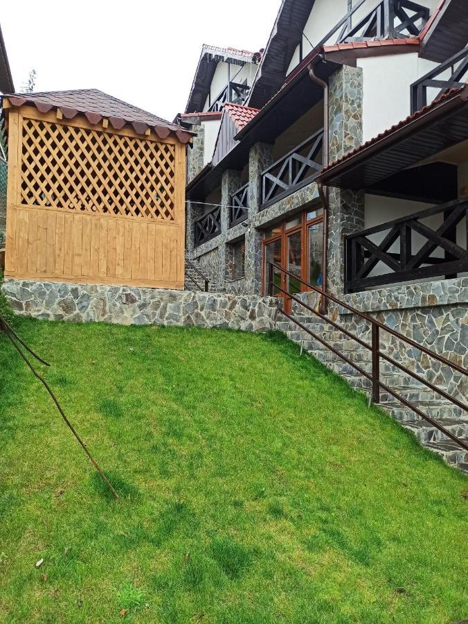 Brand New 2020 Specious Apartment Druzi 2 Palyanytsya Exterior photo